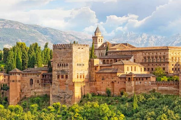 Consultor SEO Granada y Experto en Posicionamiento Web