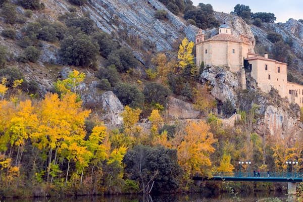 Consultor SEO Soria y Experto en Posicionamiento Web