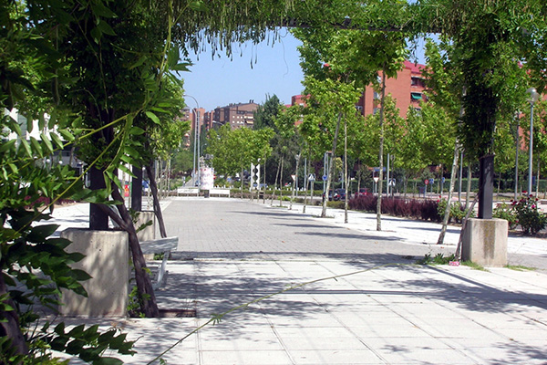 Consultor SEO Tres Cantos y Experto en Posicionamiento Web