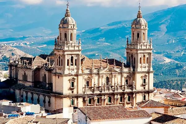 Consultor SEO Jaén y Experto en Posicionamiento Web