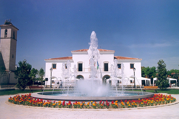 Consultor SEO Villanueva de la Cañada y Experto en Posicionamiento Web